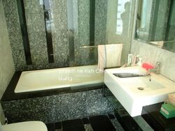 The Metz (D9), Condominium #484941571